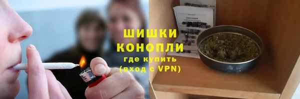 индика Вязники