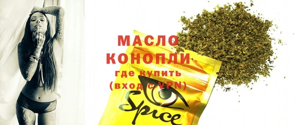 индика Вязники