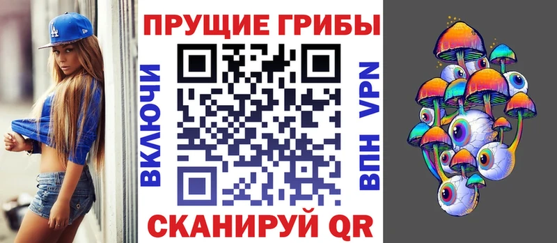 Псилоцибиновые грибы Psilocybine cubensis  закладка  Вытегра 