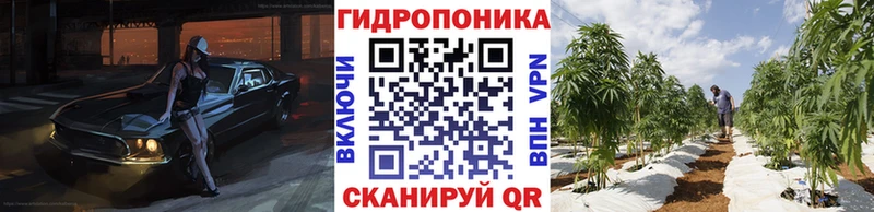 Каннабис план  где продают   Вытегра 